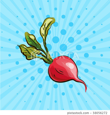 插图素材: ripe radish with a green tail on a blue background