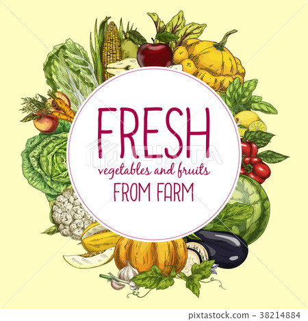 插图素材: summer fruits and vegetables, organic food 查看全部