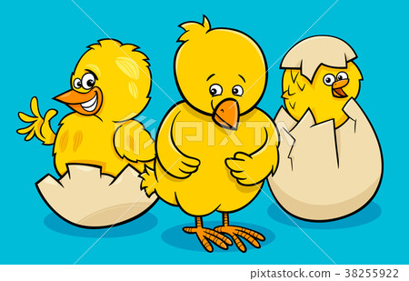 图库插图: cartoon little chickens hatching from eggs