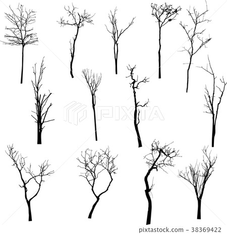 插图素材: dead tree without leaves vector