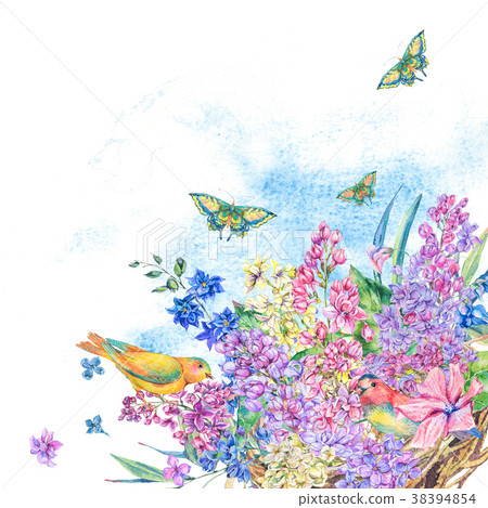 illustrationof,illustration 图库插图: watercolor illustration of bird"s nest and flowers