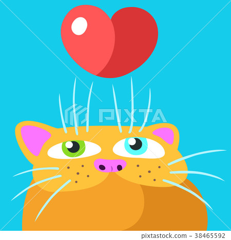 姿势/表情/动作 表情 可爱 插图 cartoon favorite orange flat cat.