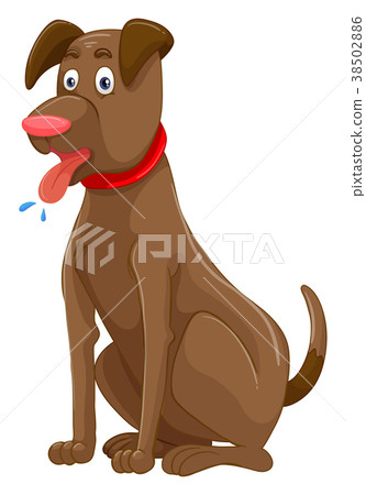 插图素材: brown dog on white background