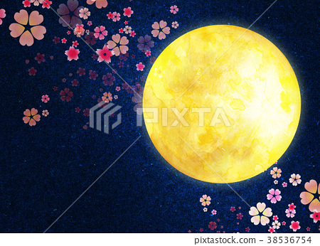 图库插图: 夜樱 夜晚的樱花树 月亮