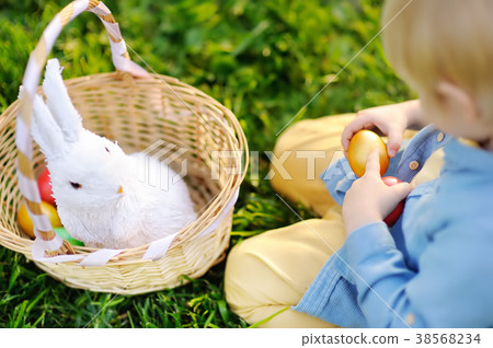 图库照片: close-up photo of little boy hunting for easter egg in