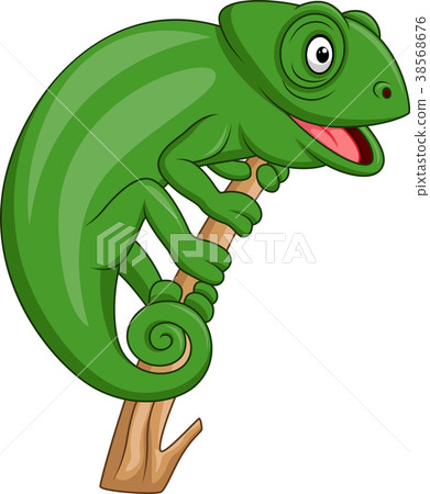 图库插图: cartoon green chameleon