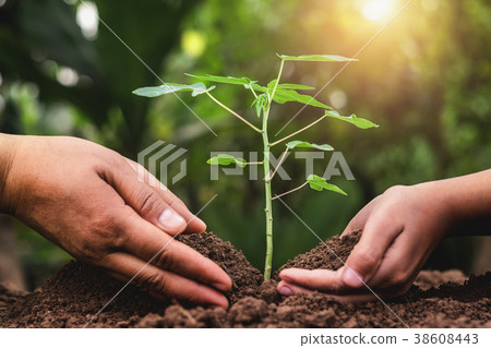 图库照片: father and children helping planting young tree