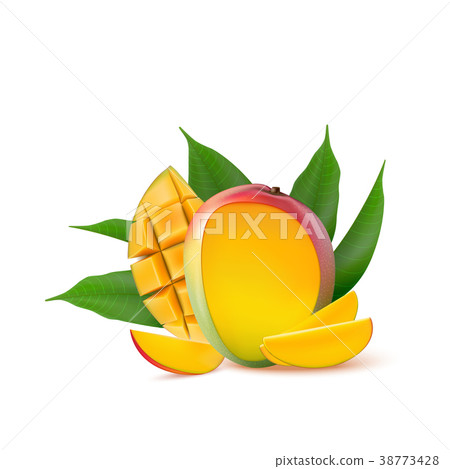 插图素材 mango fruit for fresh juice jam yogurt pulp.