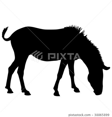 插图素材: silhouette african zebra on a white background