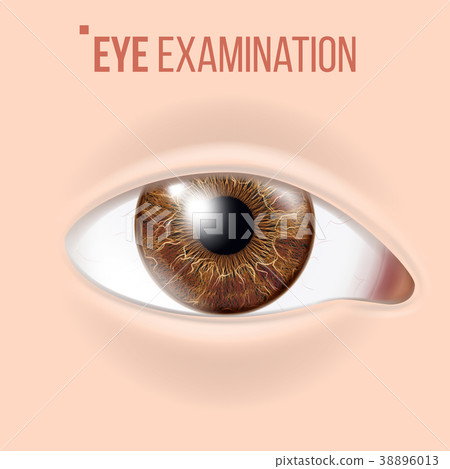 human eye vector vision concept clinic medical-图库插图[38896