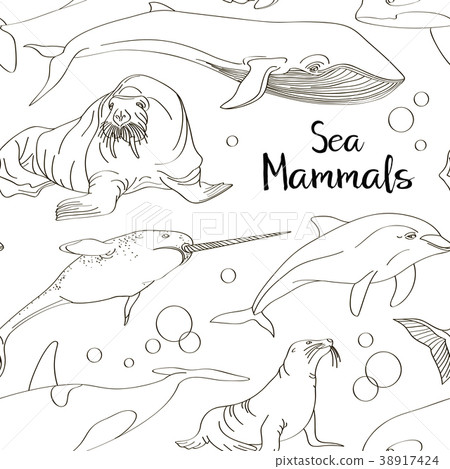 插图素材: sea mammals animal collection icons pattern