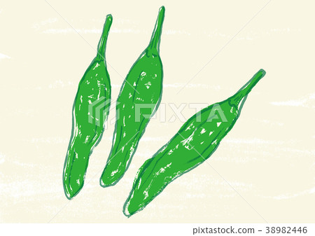插图素材: 青椒 水彩 水彩画