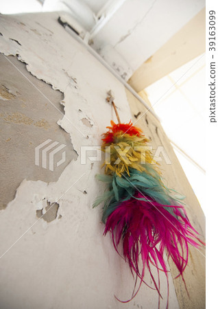 图库照片: a feather duster hanging on a wall.