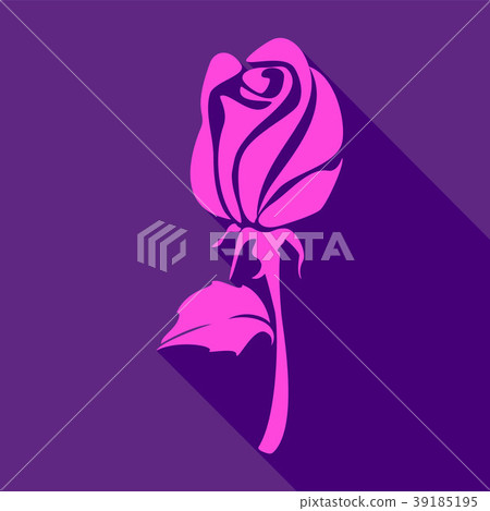 图库插图: bright pink rose, on a violet background, vector i