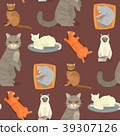 插图素材: cat breeds cute kitty pet cartoon cute animal