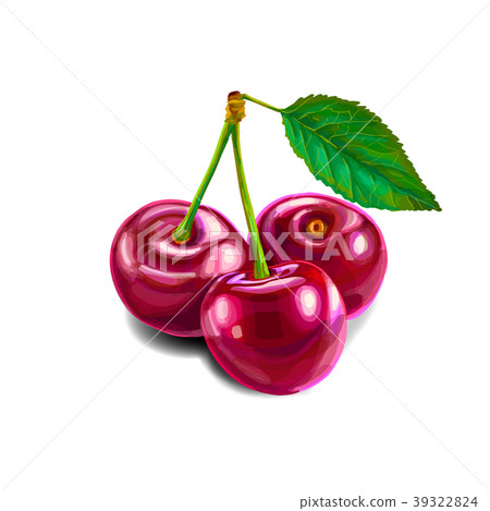 插图素材: cherry sweet fruit