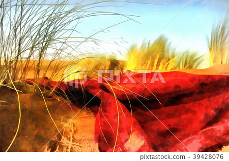 插图素材: bright red blanket on desert with wild grass