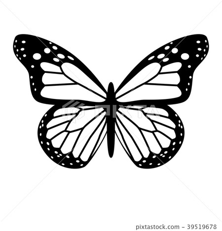 black and white vector butterfly-图库插图 [39519678] - pixta