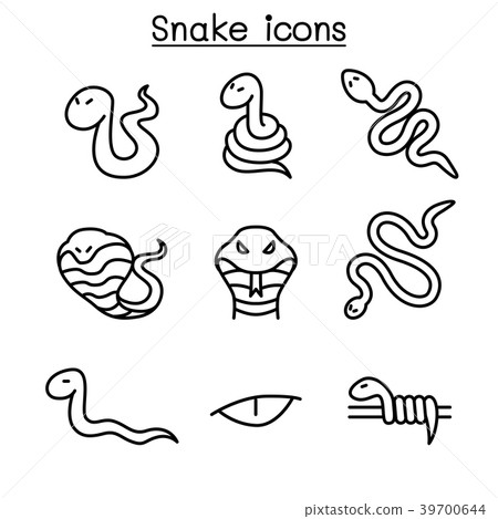 图库插图: snake icon set in thin line style
