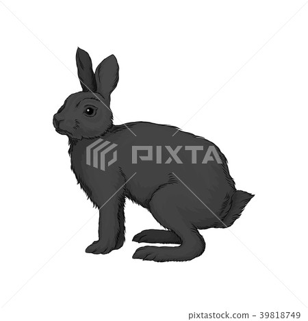 插图素材: cute black hare wild forest animal vector