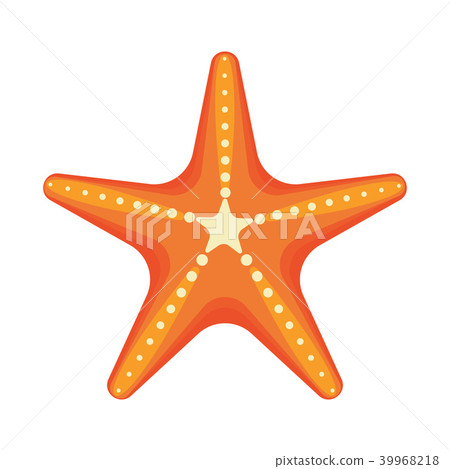 插图素材: sea star caribbean starfish on a white background