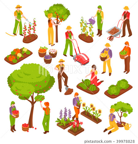 图库插图: gardening isometric set