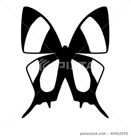 black and white vector butterfly-图库插图 [40402076] - pixta