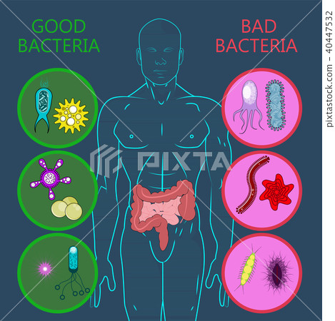 图库插图: intestinal flora, set of good and bad bacteria