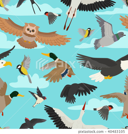 图库插图: bird vector cartoon flying birdie owl dove and duck