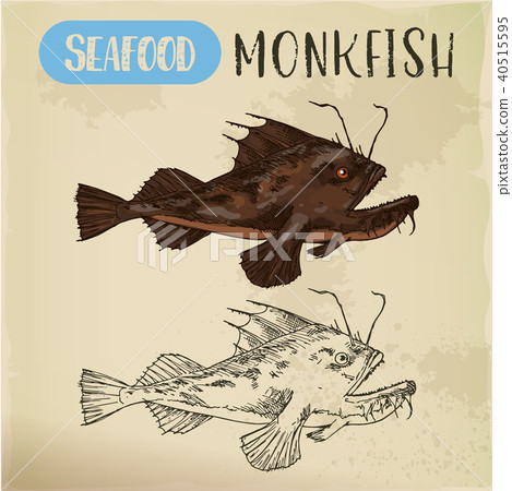 图库插图 monkfish or sea-devil fishing-frog or fish sketch