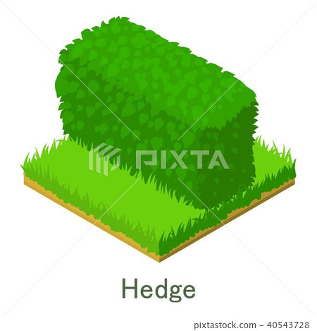 图库插图: hedge icon, isometric style.