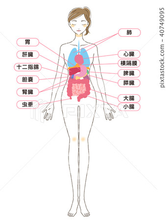 五脏六腑 著了色的 充满活力的颜色 首页 插图 人物 男女 日本人 五脏