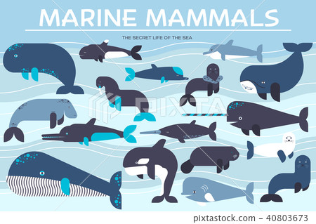 图库插图: sea mammals animal collection icons set. vector