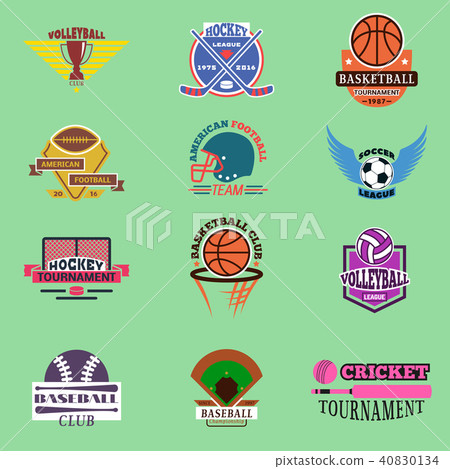 插图素材: sport badge template teams or clubs school balls and