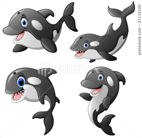 whalecartoon,cartoonnetwork 插图素材: killer whale set cartoon 查看全部