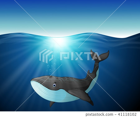 whalecartoon,cartoonnetwork 插图素材: cute whale cartoon on the sea