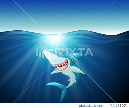 图库插图: cartoon funny shark on the sea