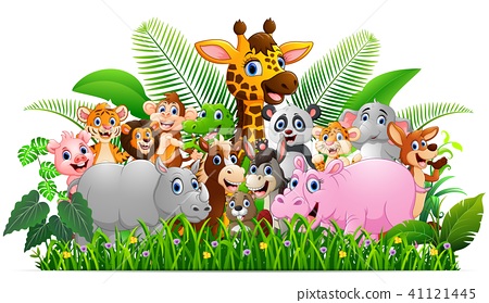 插图素材: collection animal safari in the jungle
