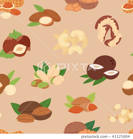 插图素材: nut vector nutshell of hazelnut or walnut and almond