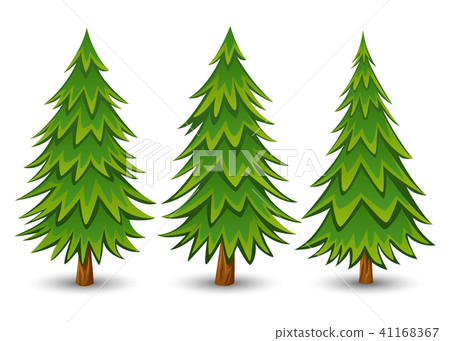 图库插图: green pine trees set on a white background