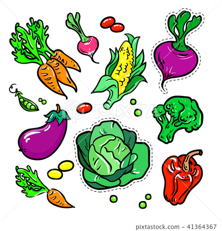 插图素材: vegetables - vector isolated retro stickers set 查看