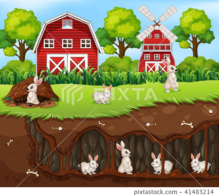 图库插图: rabbit house underground the farm