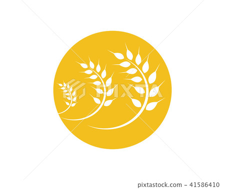 插图素材: agriculture wheat logo template vector icon design