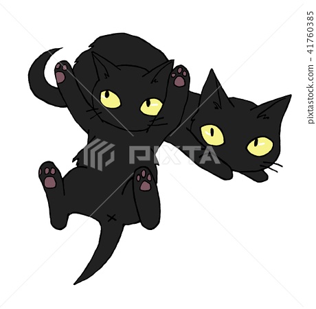 图库插图 黑猫