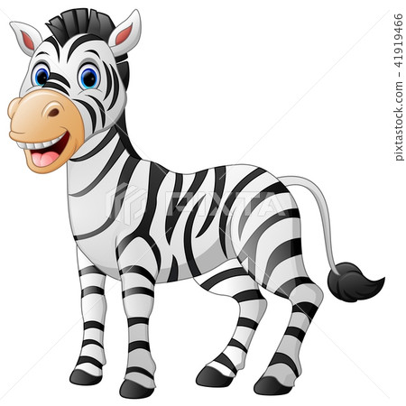 插图素材: cartoon cute zebra