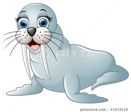 图库插图: cute walrus cartoon