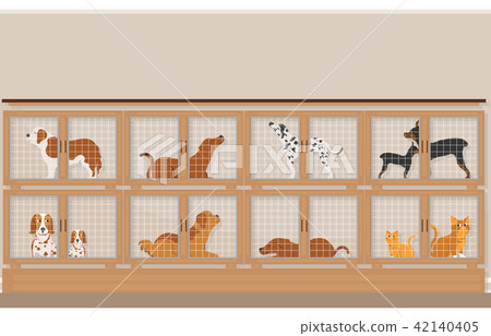 插图素材: cages of dogs and cats for sale in pet store. 查看全部