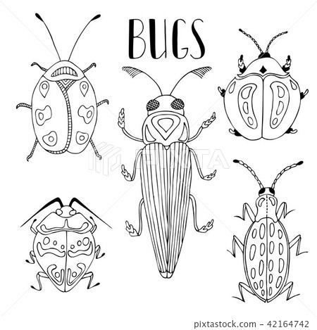 图库插图: beetle. collection of vector beetles and bugs.