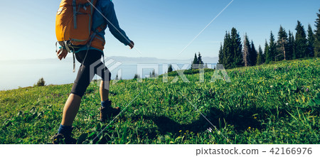 图库照片: hiker walking on beautiful green mountain hill