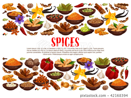 插图素材: spices and condiments cooking ingredients poster